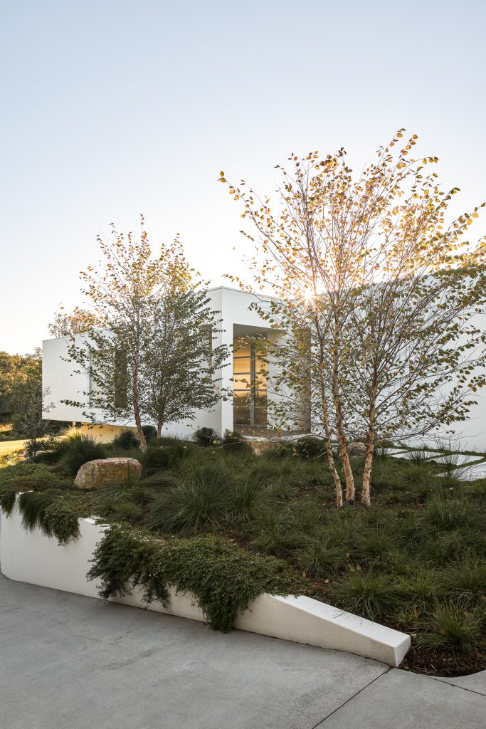 Currawong House entrance with deciduous trees