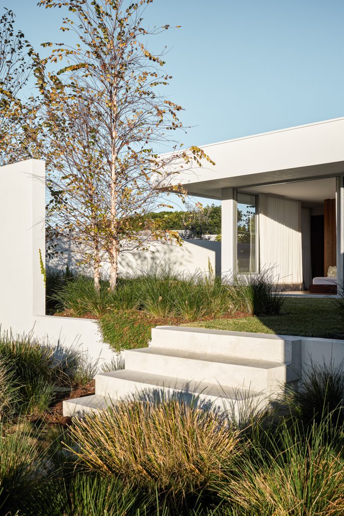 Currawong House garden steps leading to master bedroom